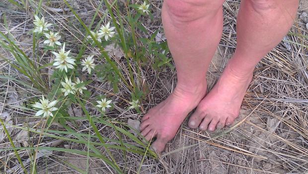 Barefoot normal feet
